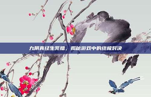 九阴真经生死擂,揭秘游戏中的终极对决