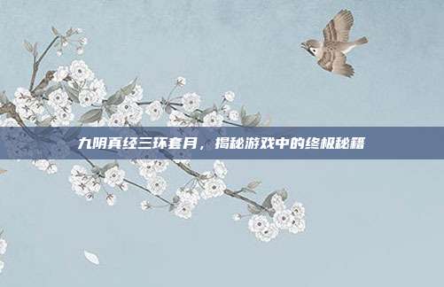 九阴真经三环套月,揭秘游戏中的终极秘籍