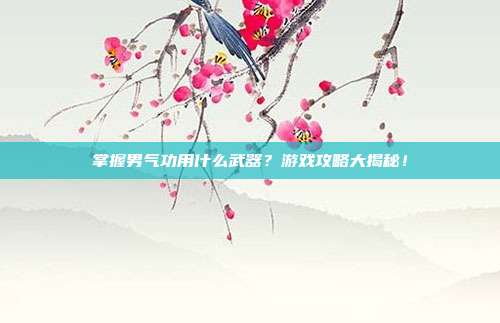掌握男气功用什么武器?游戏攻略大揭秘!