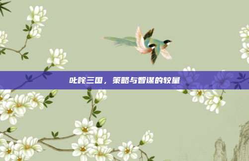 叱咤三国,策略与智谋的较量