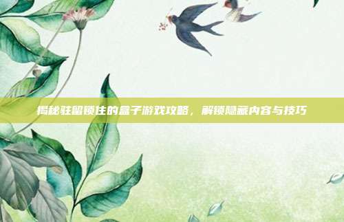 揭秘驻留锁住的盒子游戏攻略,解锁隐藏内容与技巧