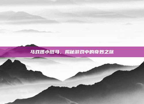 马戏团小斑马,揭秘游戏中的奇妙之旅