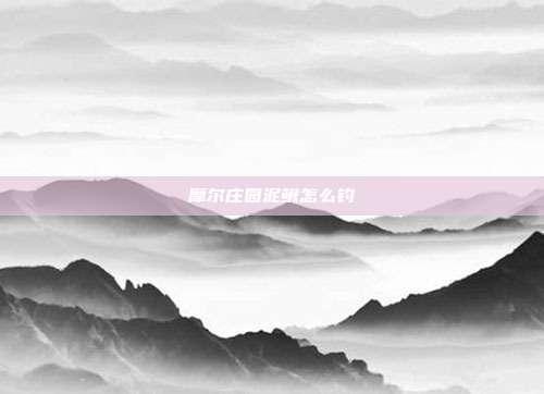 摩尔庄园泥鳅怎么钓