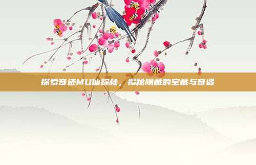 探索奇迹MU仙踪林,揭秘隐藏的宝藏与奇遇