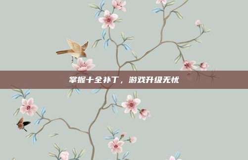 掌握十全补丁,游戏升级无忧