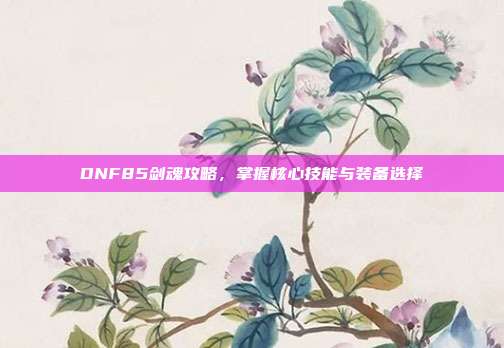 DNF85剑魂攻略,掌握核心技能与装备选择