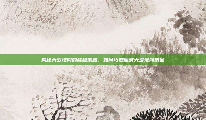 揭秘天罗地网的终极策略,如何巧妙应对天罗地网伤害