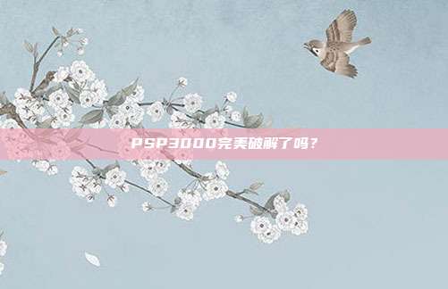 PSP3000完美破解了吗?