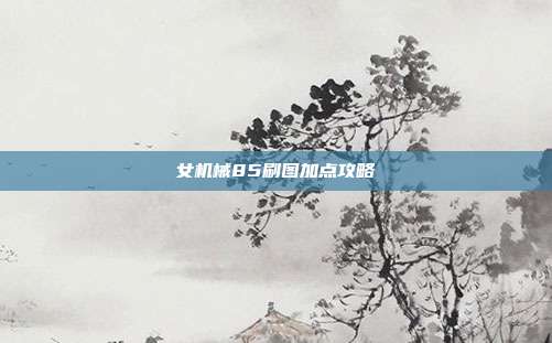 女机械85刷图加点攻略