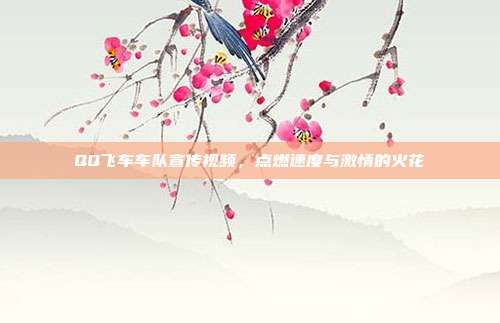 QQ飞车车队宣传视频,点燃速度与激情的火花