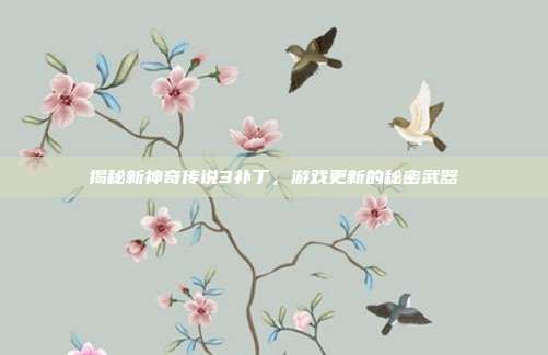 揭秘新神奇传说3补丁,游戏更新的秘密武器