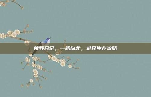 荒野日记,一路向北,难民生存攻略