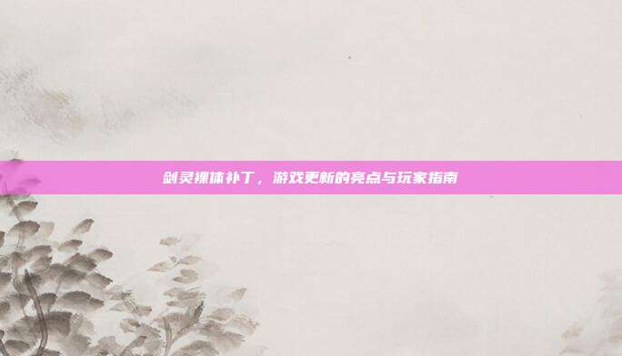 剑灵裸体补丁,游戏更新的亮点与玩家指南