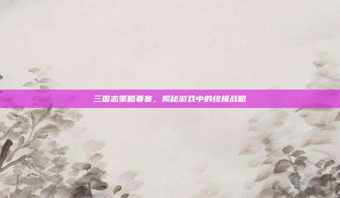 三国志策略要塞,揭秘游戏中的终极战略