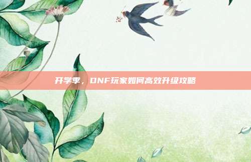 开学季,DNF玩家如何高效升级攻略