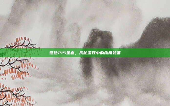 征途215星套,揭秘游戏中的终极装备