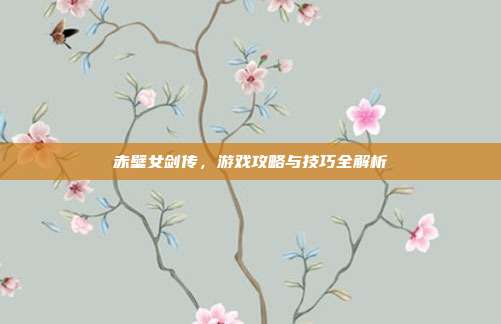 赤壁女剑传,游戏攻略与技巧全解析