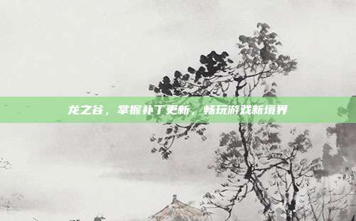 龙之谷,掌握补丁更新,畅玩游戏新境界