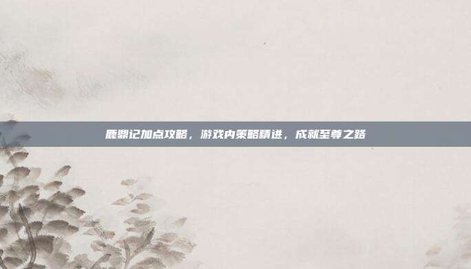 鹿鼎记加点攻略,游戏内策略精进,成就至尊之路
