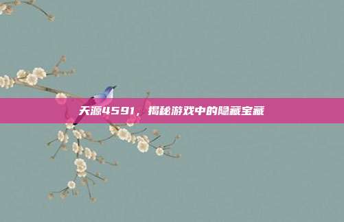 天源4591,揭秘游戏中的隐藏宝藏