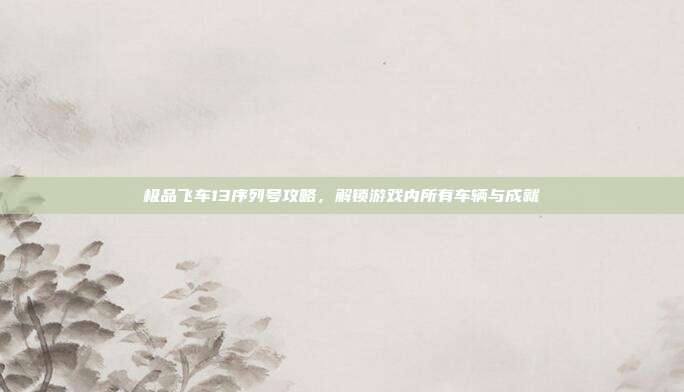 极品飞车13序列号攻略,解锁游戏内所有车辆与成就