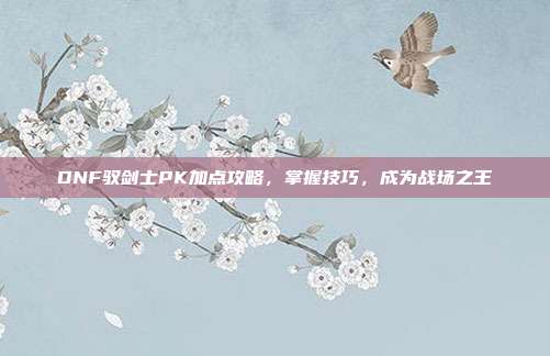 DNF驭剑士PK加点攻略,掌握技巧,成为战场之王