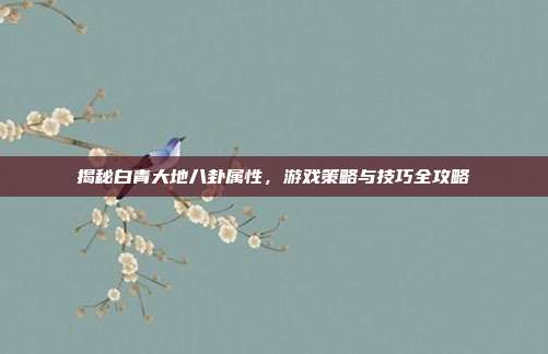 揭秘白青大地八卦属性,游戏策略与技巧全攻略