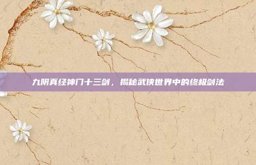 九阴真经神门十三剑,揭秘武侠世界中的终极剑法