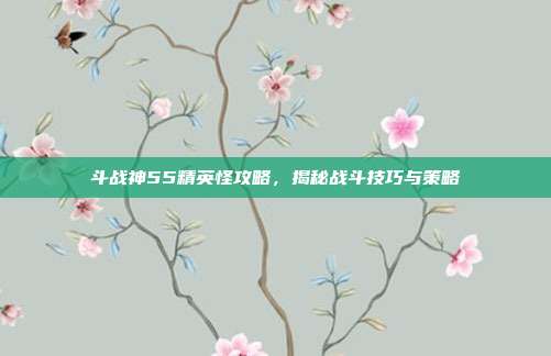 斗战神55精英怪攻略,揭秘战斗技巧与策略