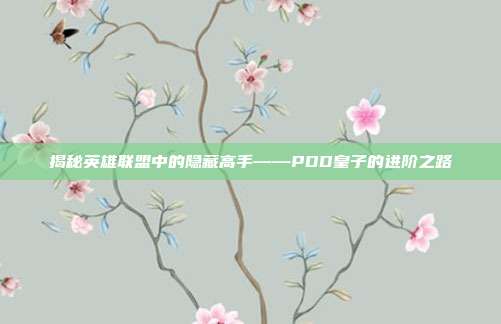 揭秘英雄联盟中的隐藏高手——PDD皇子的进阶之路