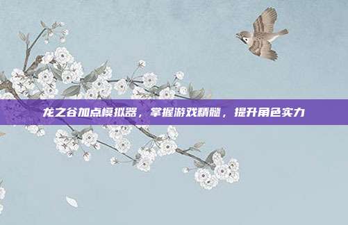 龙之谷加点模拟器,掌握游戏精髓,提升角色实力