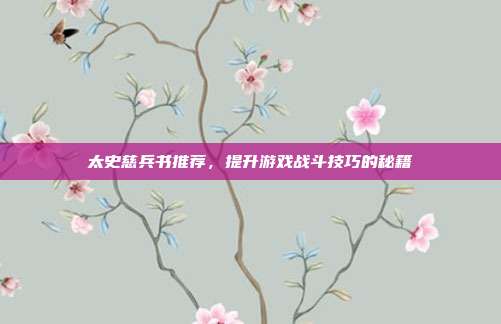 太史慈兵书推荐,提升游戏战斗技巧的秘籍