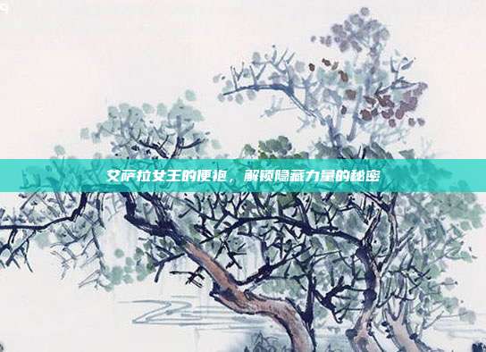 艾萨拉女王的便袍,解锁隐藏力量的秘密