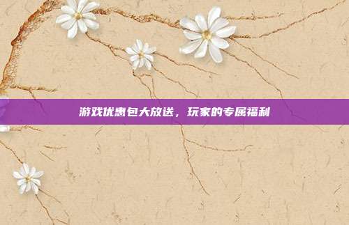 游戏优惠包大放送,玩家的专属福利