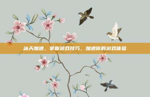 冰天加速,掌握游戏技巧,加速你的游戏体验