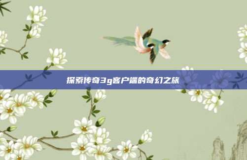探索传奇3g客户端的奇幻之旅
