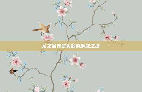 龙之谷安装失败的解决之道