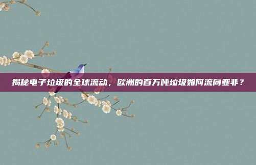 揭秘电子垃圾的全球流动,欧洲的百万吨垃圾如何流向亚非?