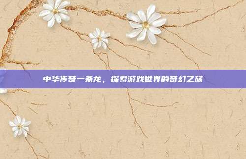 中华传奇一条龙,探索游戏世界的奇幻之旅