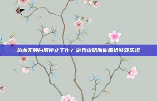 热血无赖白屏停止工作?游戏攻略助你重拾游戏乐趣