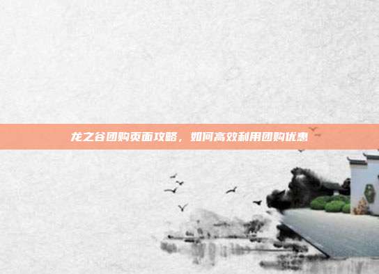 龙之谷团购页面攻略,如何高效利用团购优惠