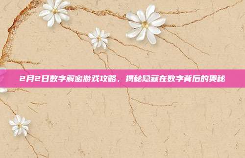 2月2日数字解密游戏攻略,揭秘隐藏在数字背后的奥秘