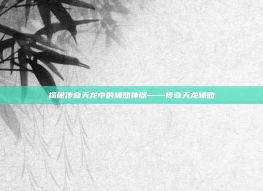 揭秘传奇天龙中的辅助神器——传奇天龙辅助