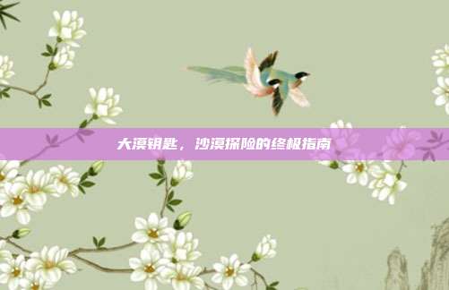 大漠钥匙,沙漠探险的终极指南