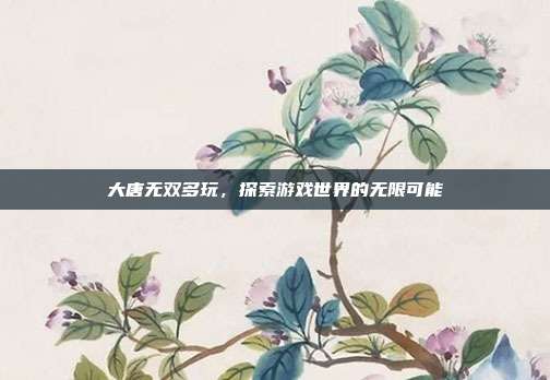 大唐无双多玩,探索游戏世界的无限可能