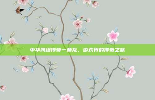 中华网络传奇一条龙,游戏界的传奇之旅