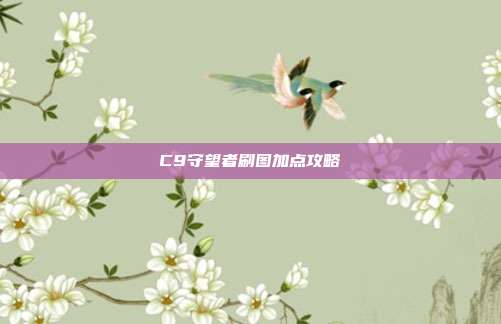 C9守望者刷图加点攻略