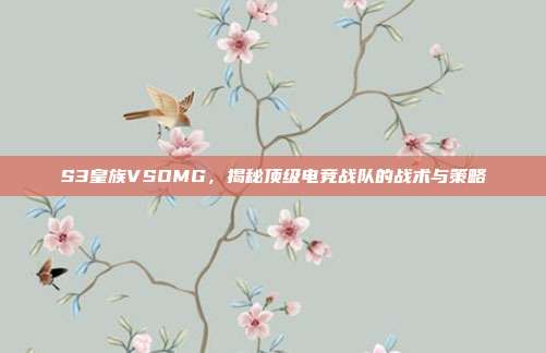 S3皇族VSOMG,揭秘顶级电竞战队的战术与策略