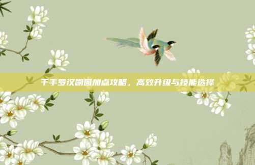 千手罗汉刷图加点攻略,高效升级与技能选择
