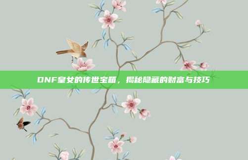 DNF皇女的传世宝箱,揭秘隐藏的财富与技巧